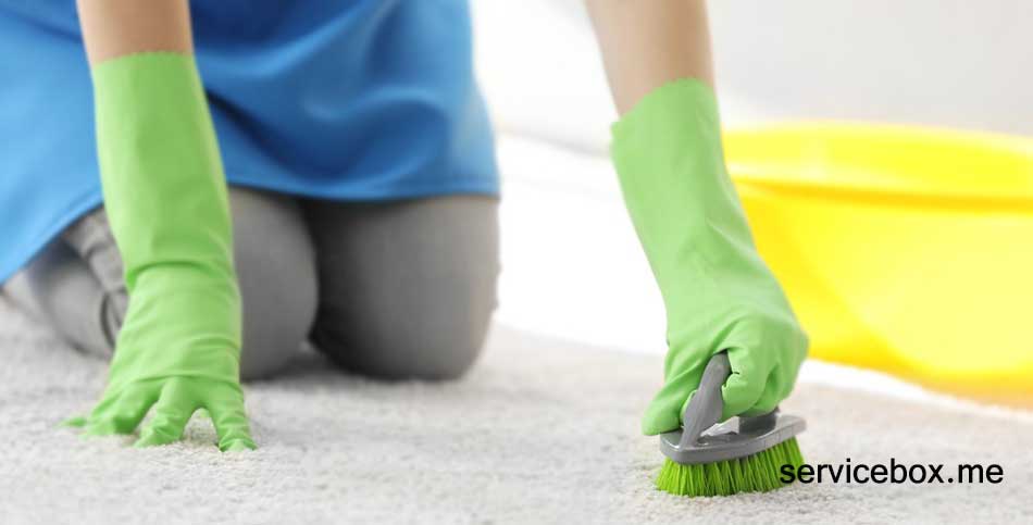 کارگر زن برای نظافت منزل